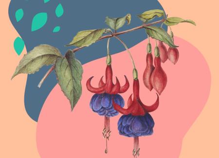 A flower on a branch