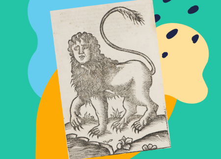 Drawing of lion with mane and tail in brown, with colourful shapes in background