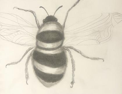Led drawing of a bee