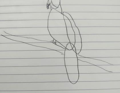 Led drawing of bird sitting on branch