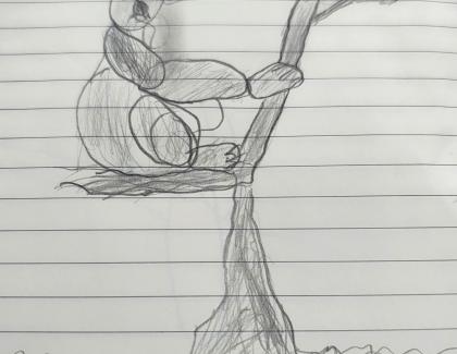 Led pencil drawing of koala sitting in tree