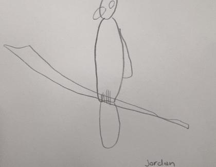 Led drawing of bird sitting on branch