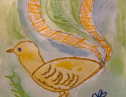 Drawing of a lyrebird with a green background