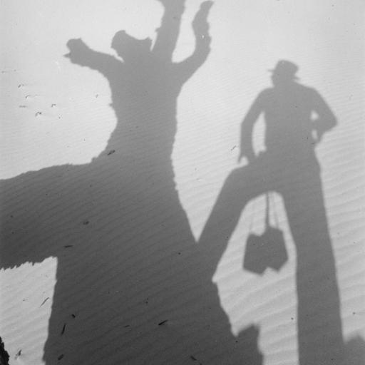 A shadow of a person and a tree on a beach