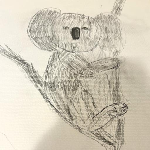 Drawing of a koala in a tree