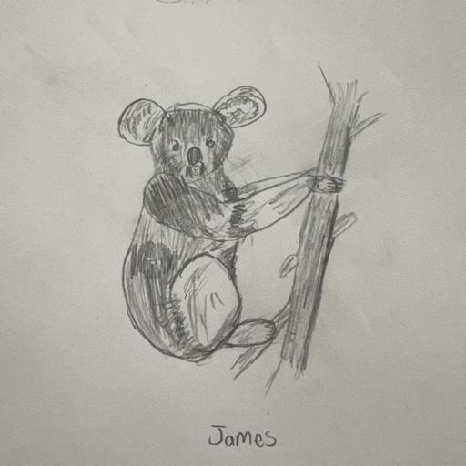 Led pencil of koala sitting in tree