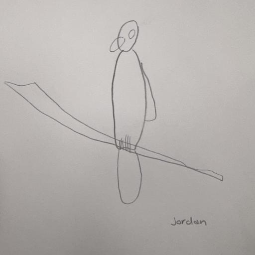 Led drawing of bird sitting on branch