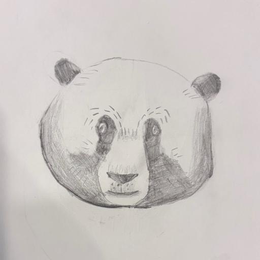 Led drawing of a panda face